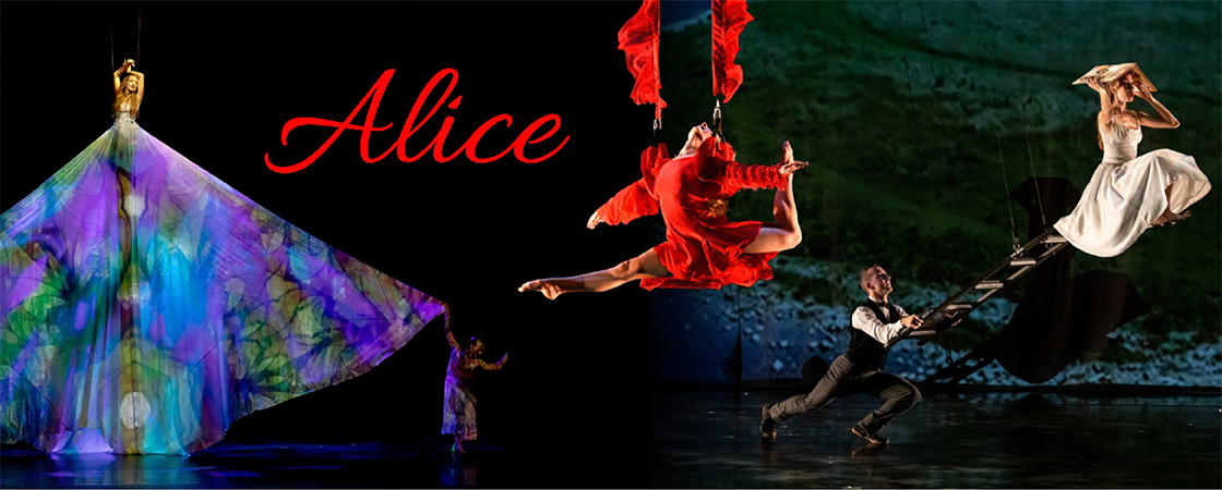 MOMIX: Alice members