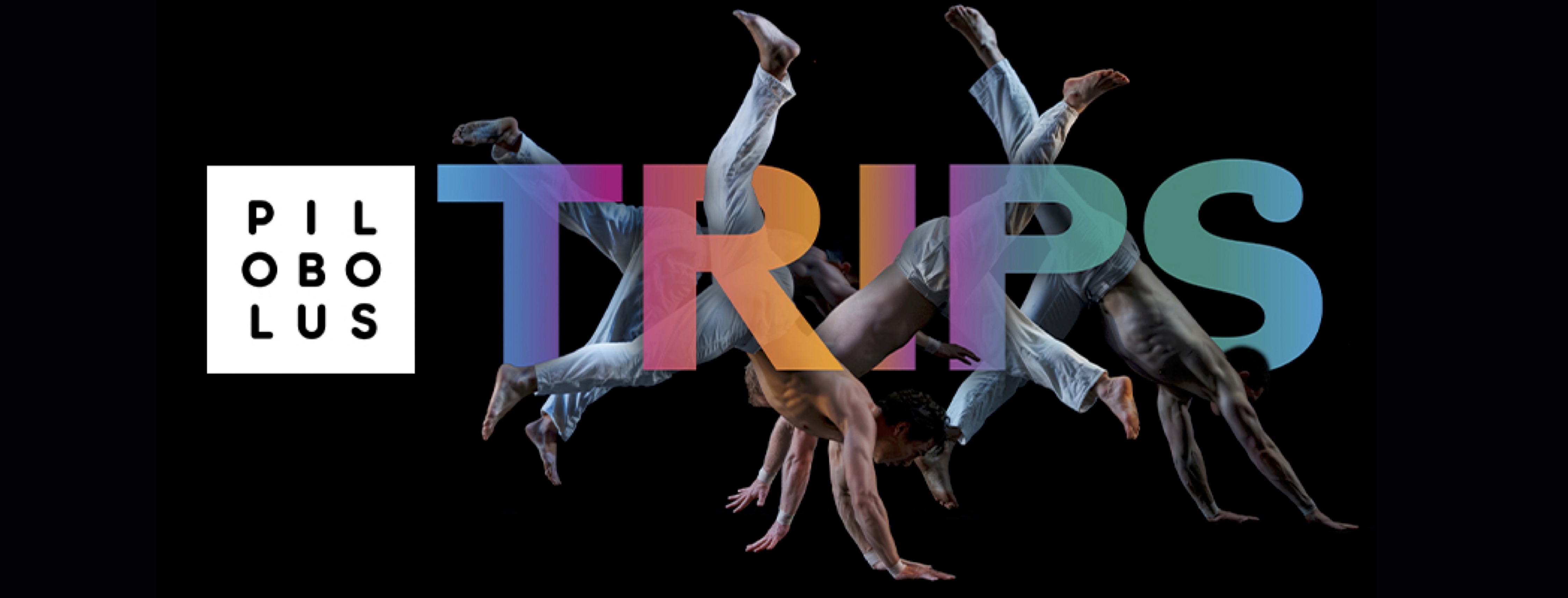image of dancers with the text "Trips" stylized around them