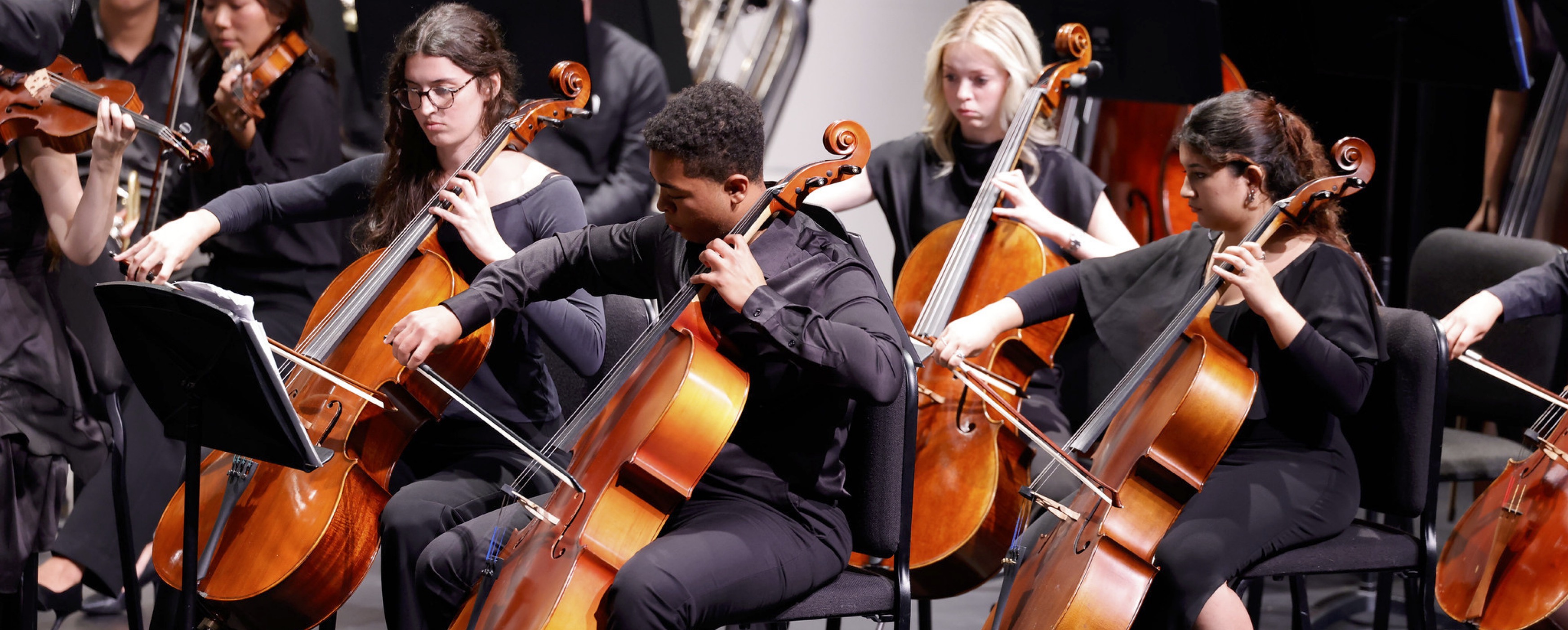 Image of several orchestra musicians playing their instruments