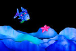 The Rainbow Fish