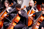image of members in orchestra ensemble