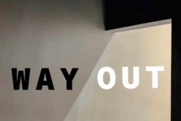 collage of art in exhibition