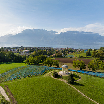 Pepperdine Château vineyards